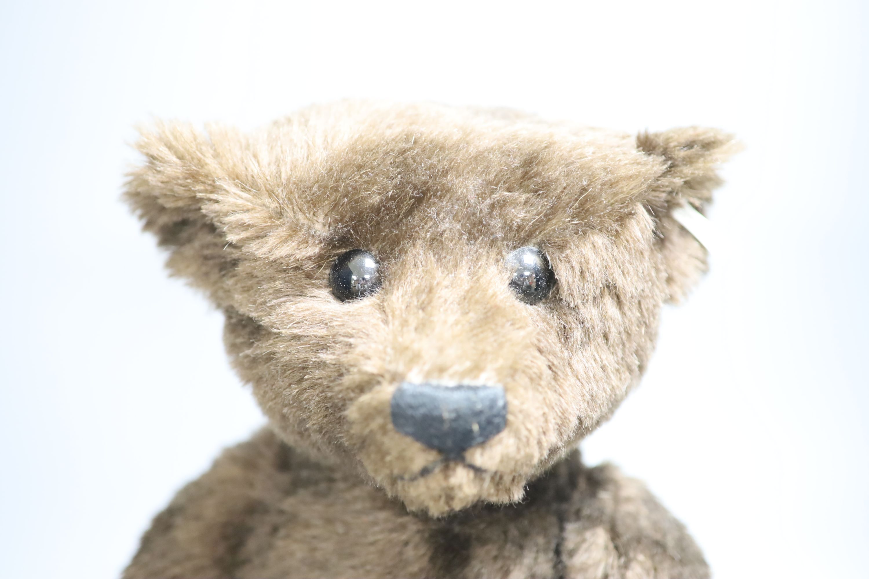 A Steiff 1907 collectors bear